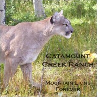 mountain lion sanctuary